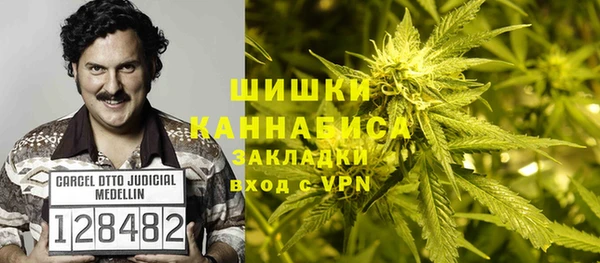 прущие крисы Белокуриха