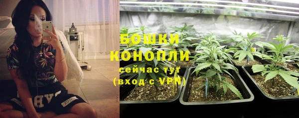 прущие крисы Белокуриха