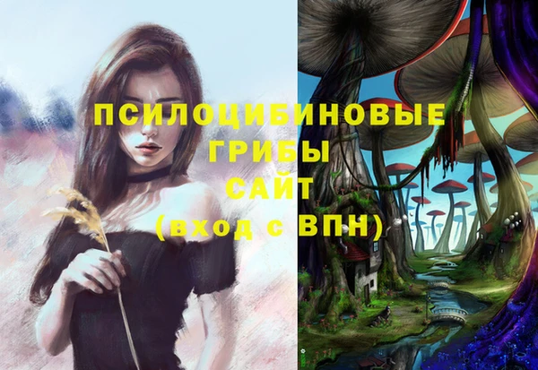 прущие крисы Белокуриха