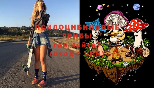 прущие крисы Белокуриха