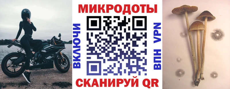 Галлюциногенные грибы Magic Shrooms  Горняк 