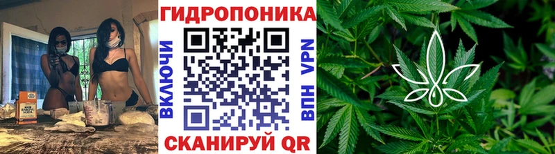 Марихуана семена  как найти наркотики  Горняк 